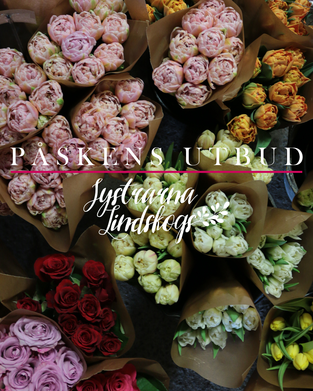 Johanna Lind Bagge - Beauty Box